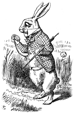 Alice's Adventures in Wonderland (1865); illustrated by John Tenniel
